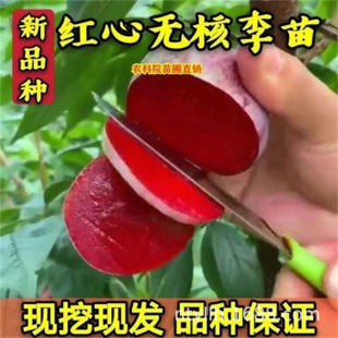 �޽���� ����������t�ğo��������������箔��Y���ϱ����Nֲ