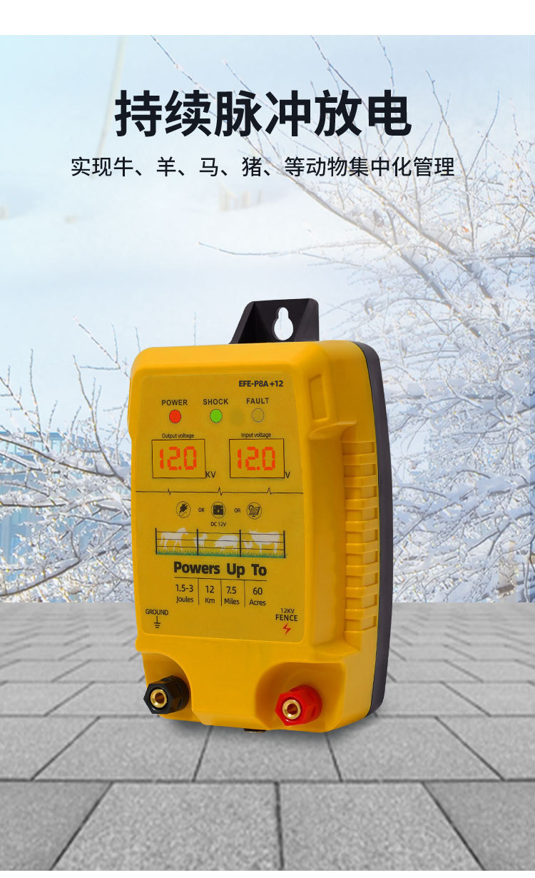 O1CN01C8JLyU2LTuQ9939EW_!!2211