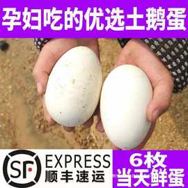 农家鹅蛋6吃的枚当天鲜蛋土散养鹅蛋胎毒大去处子笨新鲜孕妇鹅蛋
