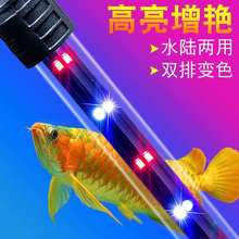鱼缸灯led灯防水水族箱照明灯节能增艳三色全光谱鱼缸潜水灯