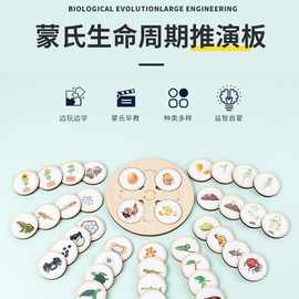 外贸跨境创意探索生命周期托盘木质启蒙儿童玩具DIY拼板教具拼图