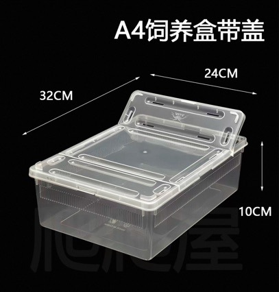 2세대 A4 뚜껑 있는 파충류 사육통, 사육박스, 누에, 도마뱀, 거미, 곤충, 뱀의 탈출 방지 사육용