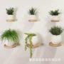 木质跨境圆形墙上书架
