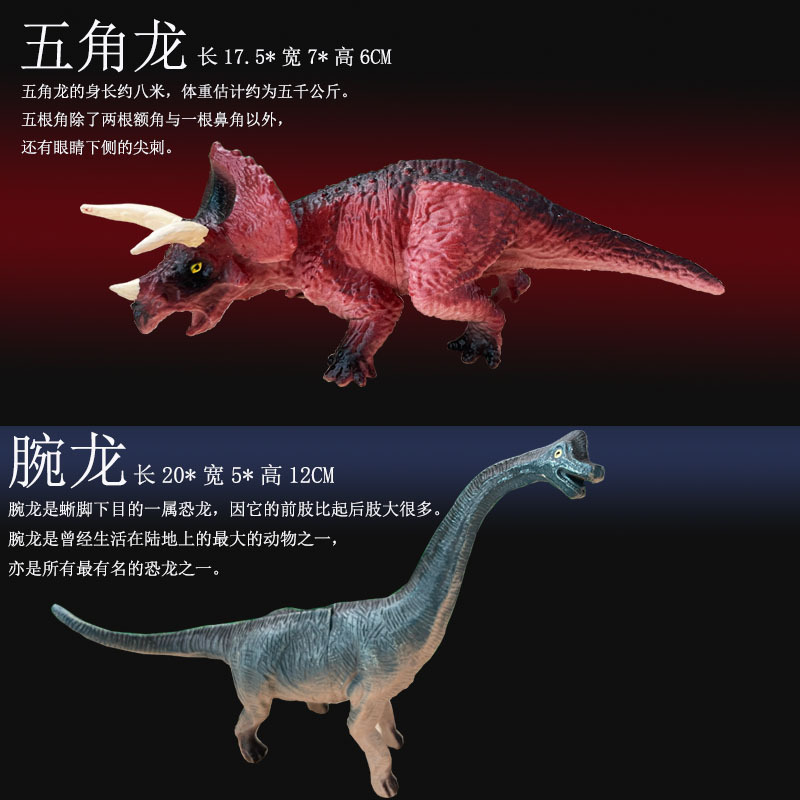 펜타코로사우루스 607 + 브라키오사우루스 608