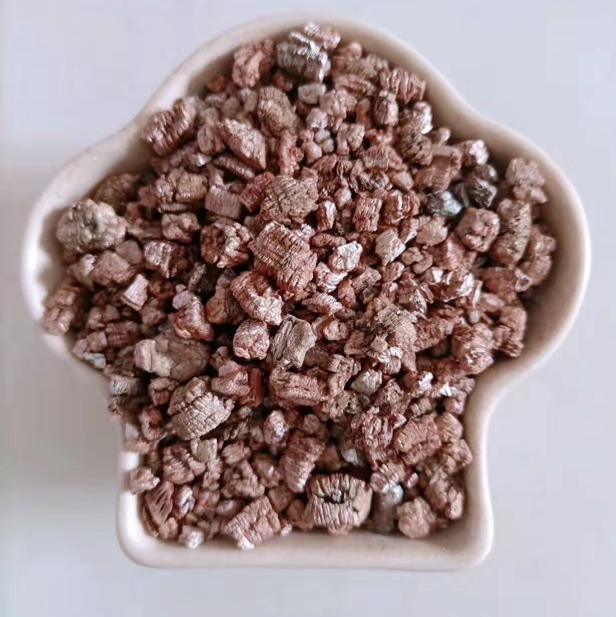 微信图片_20230110104618