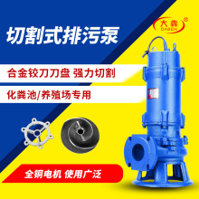 切割式潜水排污泵 化粪池沼气池排污抽粪泵 双铰刀切割污水泵厂家