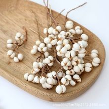 ��Ȼ�ɹ��ɻ��M�ϲ��ϰ��}�Q�������b��ֹ��h��diyֲ��˱����l