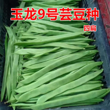 9̖ļNӸ߮aܿNwSٴ＾ܶ