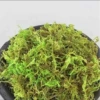 Moss, 20 g pack