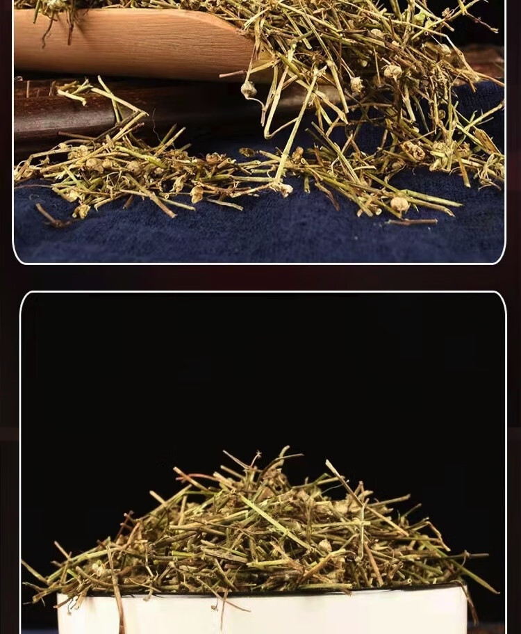 Bai Hua She She Cao Dried Hedyotis Herb 500g Traditional Chinese Herbal Tea Ingredient in use