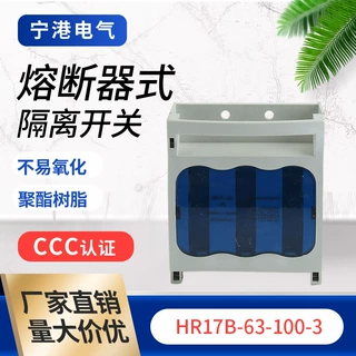 HR17B-63-100-3熔断器式隔离开关 三相三线闸刀开关三极隔离开关