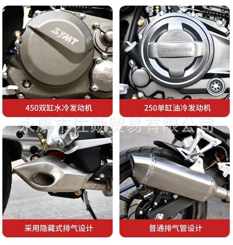 DaoLang dual-cylinder water-cooled heavy-duty street bike, high-displacement road racing motorcycle, can be registered, with Euro 4 standard and electronic fuel injection