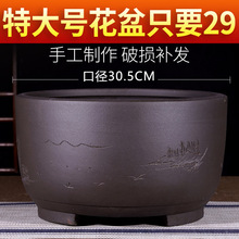 ��ɰ�����ش�����m�G�}�����̨�N�˄����辰�Gֲ���Զ���䘶