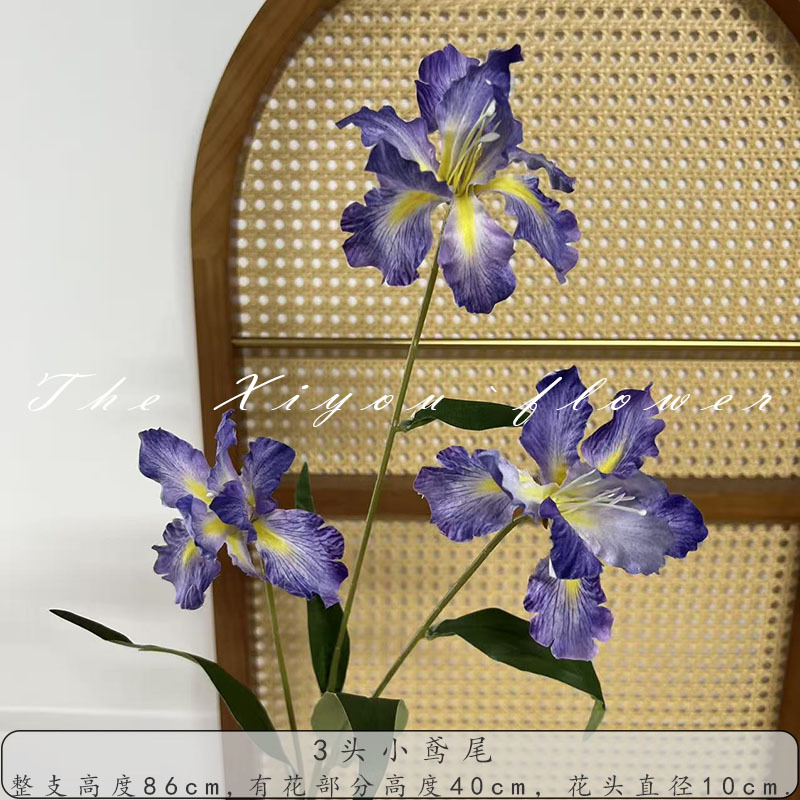 3머리 아이리스-퍼플