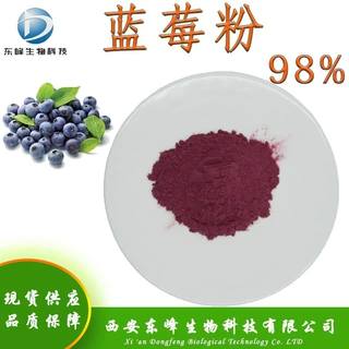 加工定制蓝莓粉 蓝莓冻干粉包邮蓝莓花青素多规格全水溶品质保障