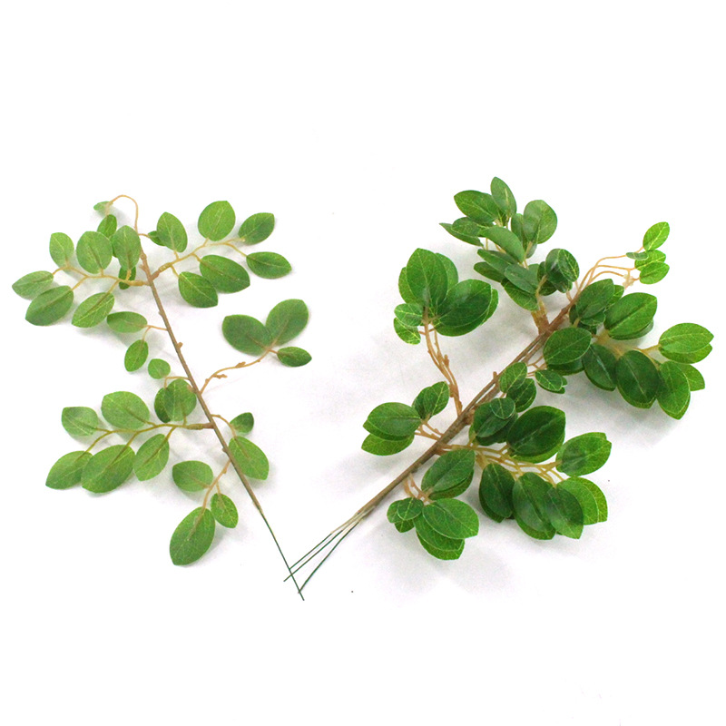 XRB-254 檵木叶单枝33叶0 (1).jpg