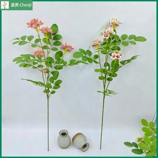 �¿���滱���~���u�������l��c�Ƶ껨ˇ�Gֲ�Q���~diy�Ҿ��b�