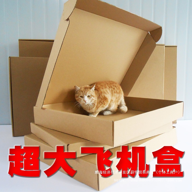 号飞机盒扁平纸箱特硬羽绒棉服包装大衣正方形加厚手幅画框盒