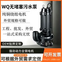 铸铁潜水排污泵高扬程污水泵泵大流量国标工业排水泵A潜水泵