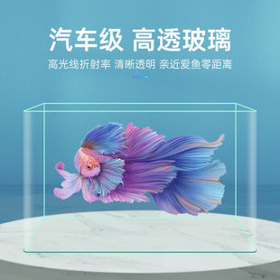 Hot-Bent Transparent Glass Lazy Fish Tank Living Room Balcony Home Landscaping Small and Medium-Sized Decorative Goldfish Ecological Aquarium