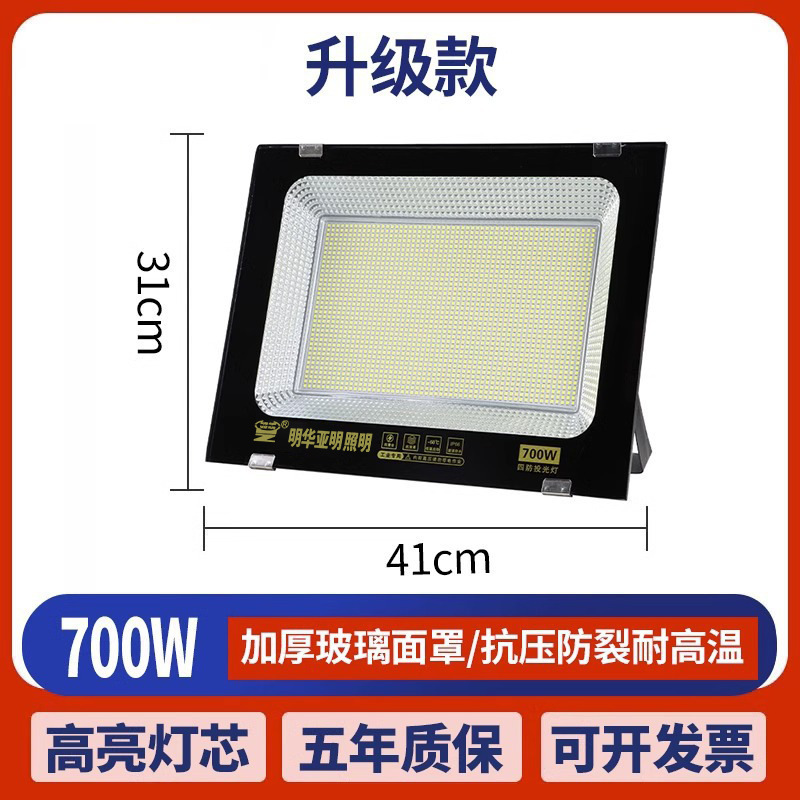 Yaming genuine goods [high-end project] 700W