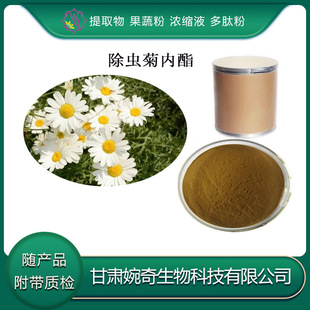 ���x�Ճ���25%  ���x����50% ���C���� �F؛���� ���] ���x�Ճ�֬