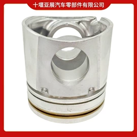 其他发动系统;油泵、油嘴;燃油喷射装置