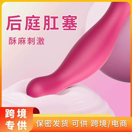 震动棒;情趣跳蛋;后庭用品