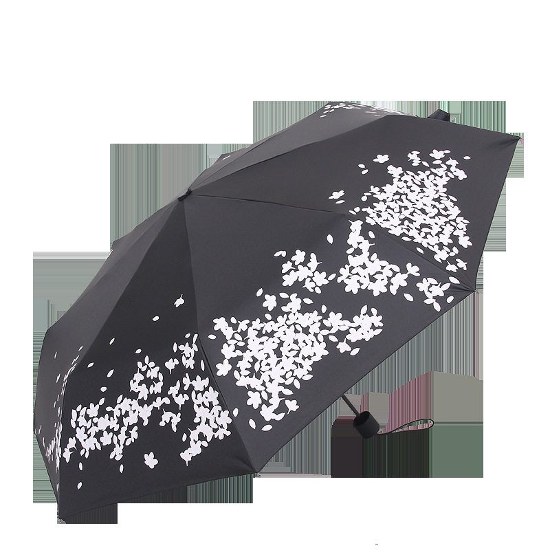 ˮɫɡ۵ڽ۵ϵӣ괴ɡ