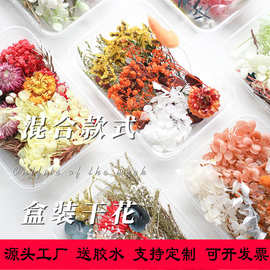 diy干花材料包混装花盒相框干花团扇花材包家居装饰手工花束真花