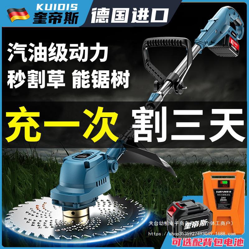 Electric brushless agricultural lithium battery charging