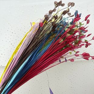 ɫJȔɫȸ ݟ·b c߲