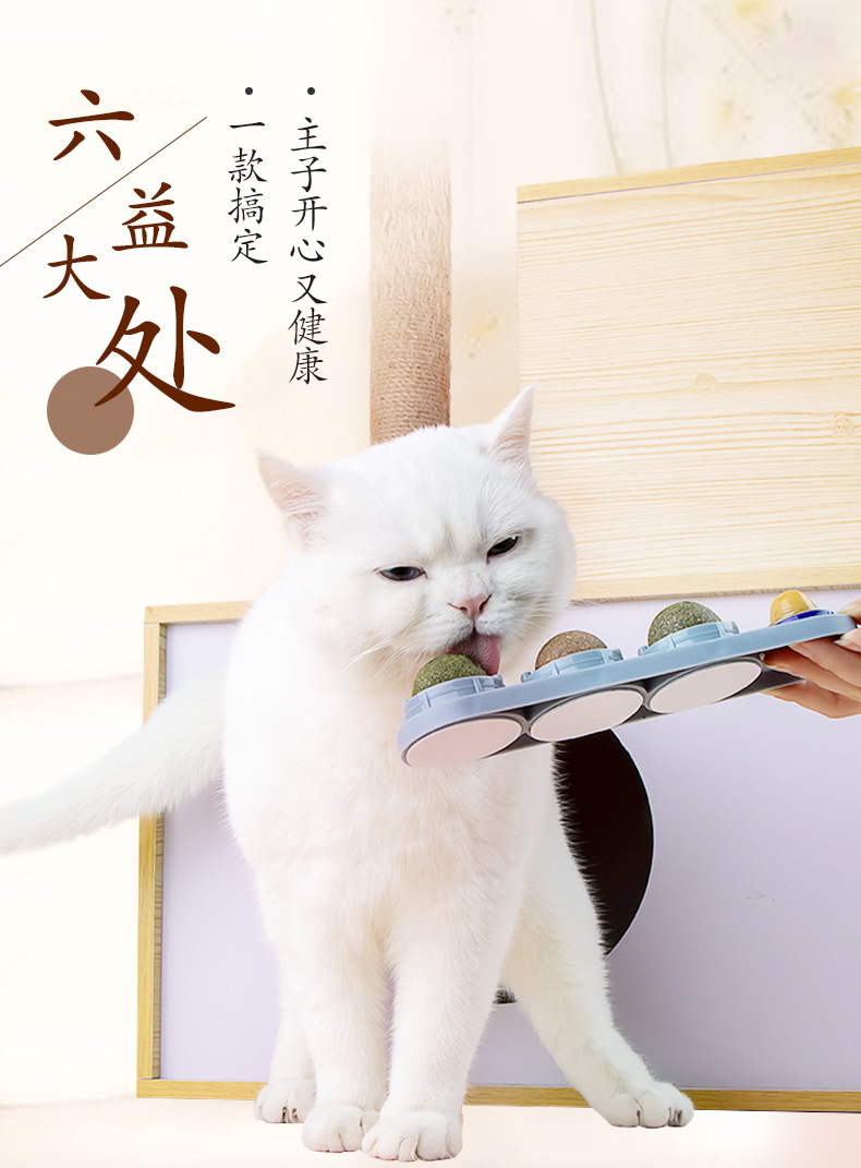 猫薄荷球猫咪玩具自嗨逗猫棒猫磨牙逗猫猫用品猫玩具啃咬猫猫用品详情5