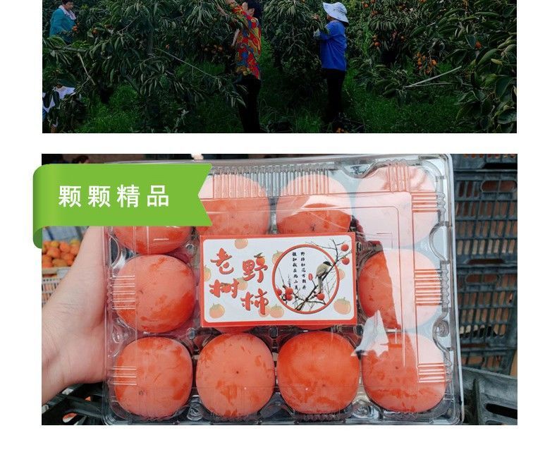 ceec6d78-25d6-4e10-a849-c1052822dcd7.jpe