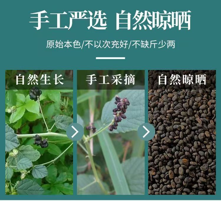 Bu Gu Zhi Psoralea Fruit 500g Dried Chinese Herb for Decoction and Culinary Use key features