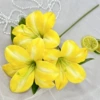 Bright yellow