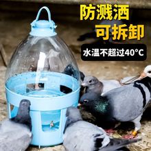 鸽子饮水器水壶信鸽用品鸽用自动喂水器鸽喝水饮水器赛鸽水壶鸽具