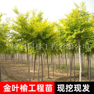 ���~�ܘ��S���ܘ��ͺ��ͺ���ľͥԺ�����^�p�L���䱱���Nֲ���~��