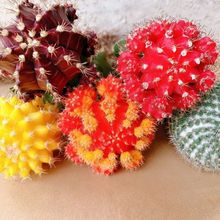 ���������S��������������������������^��ݗ������ȩֲ������