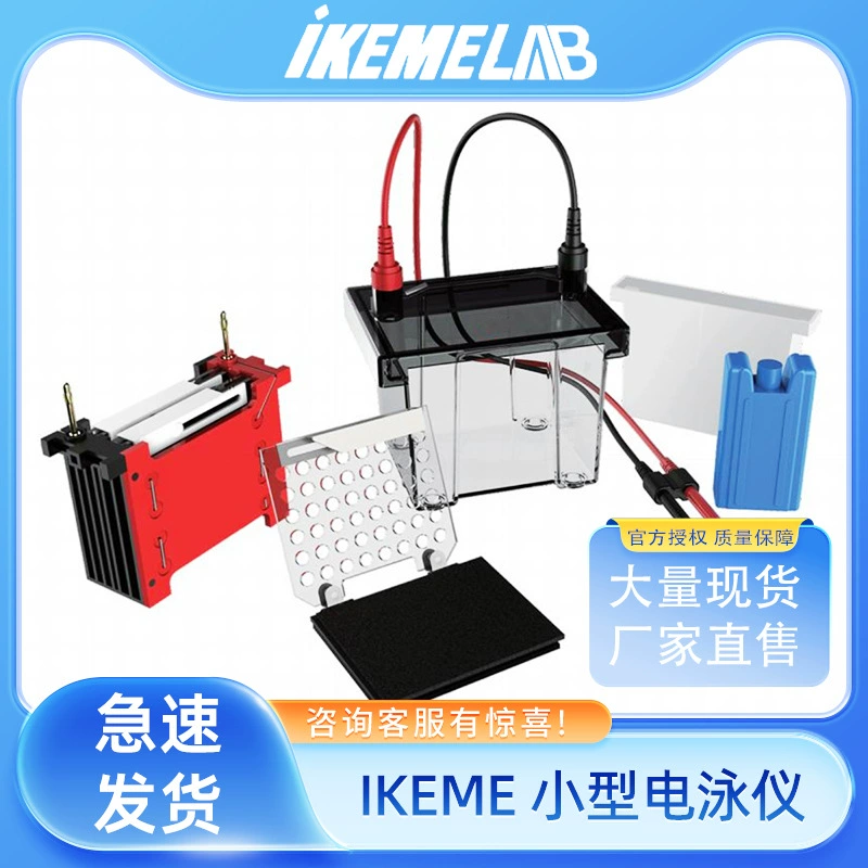 Мини-маленький электрофорезный прибор WB, вертикальный горизонтальный электрофорезный резервуар, резервуар для протеина, резервуар для переноса, подготовка геля, базовый высокоточный источник питания