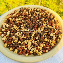 �Gֲ�o�����o�i������ȫ�w�����ʯ͸��ֲ��ʯ�����Ӳ������