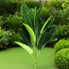 ����Gֲ����������������~ֲ��쾰�b��⻨�ܼҾӸ߷���