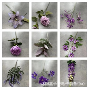 �Wʽ�͹�С�ٺϼٻ��{��ɫ��c�ٺϻ��ҾӾƵ��b��Ĕz���߷��滨