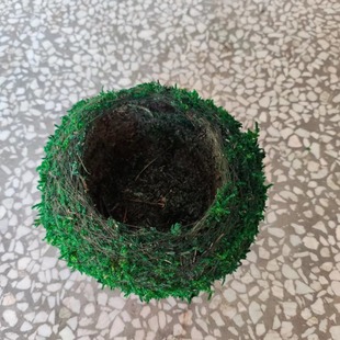 苔蘚球 永生苔蘚花盆創意DIY園藝盆栽 家居 微景觀 染色苔玉青苔