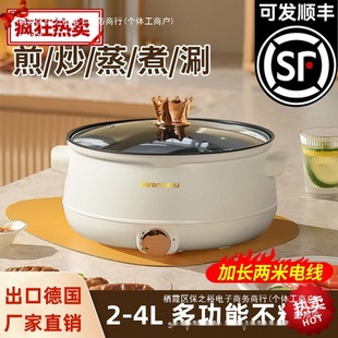 Multifunctional Electric Cooking Pot, All-In-One Pot, Dormitory Small Electric Pot, Noodle Cooking, Steaming, Frying and Frying Pan, Household Electric Hot Pot with Steamer