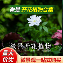 ���ճ���҃Ⱥ��B�׻��ֲ���_�����¼�΢���^һ���ļ����_��