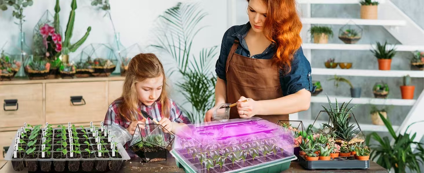 cc38fa8bd7ea210d1314ca1deeae74