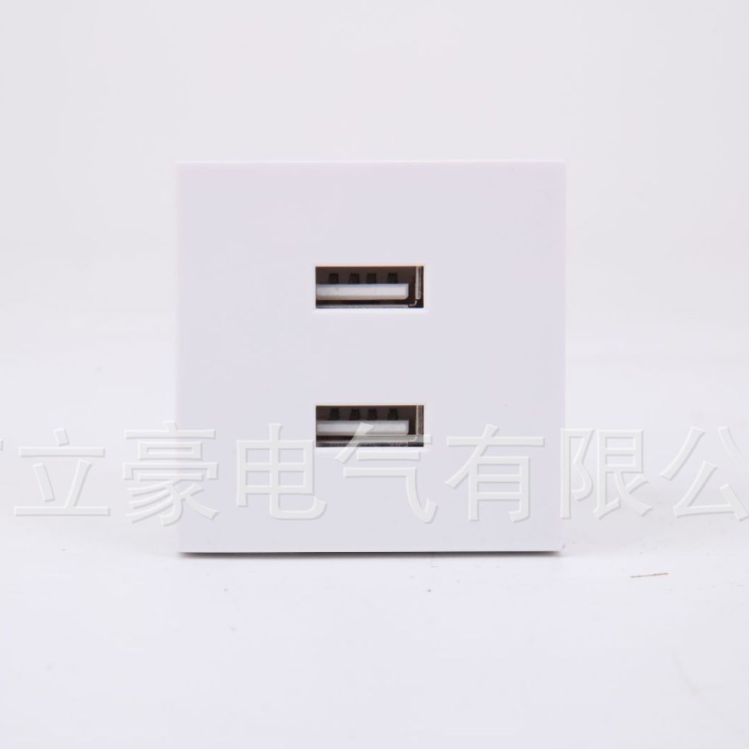 45型卡式双口USB充电插座10W嵌入隐藏式充电器插座厂家直供