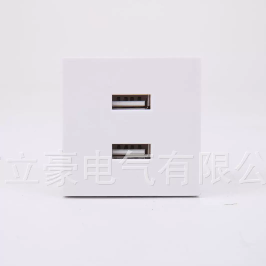 45型卡式双口USB充电插座10W嵌入隐藏式充电器插座厂家直供