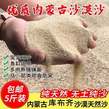 沙子细沙儿童沙滩普通沙子沙漠造景细沙鱼缸河沙细沙天然龟砂铺底